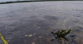 Así luce el río marañon, afectado por el derramede crudo.